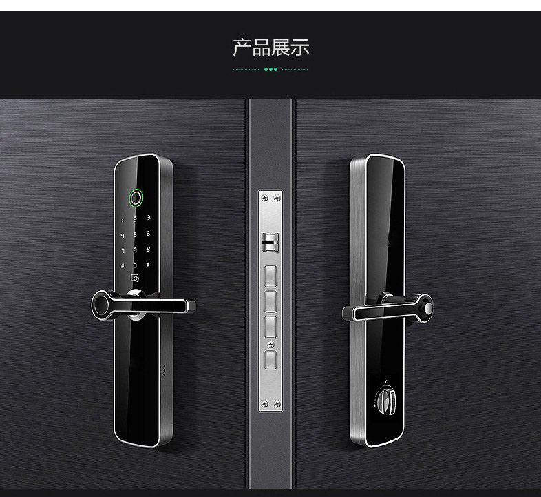 LY-S100 标準平闆指紋鎖